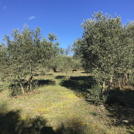 Le Verger Acomodação com café da manhã Gordes Exterior foto