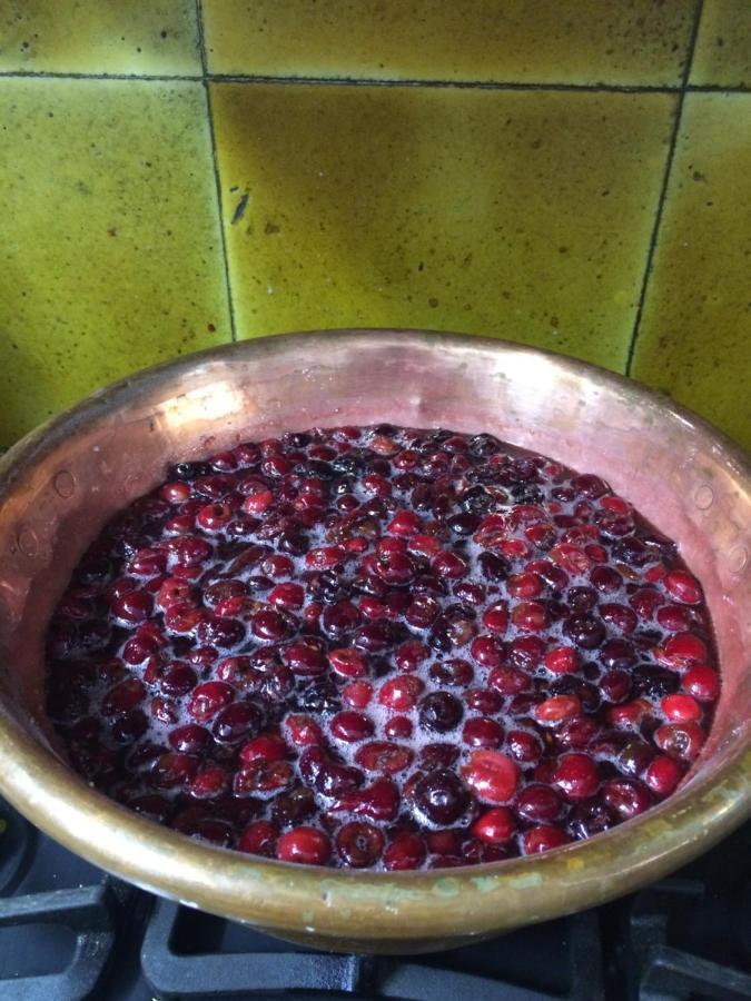 Le Verger Acomodação com café da manhã Gordes Exterior foto