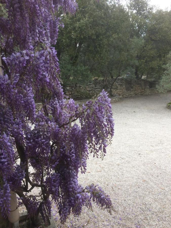 Le Verger Acomodação com café da manhã Gordes Exterior foto