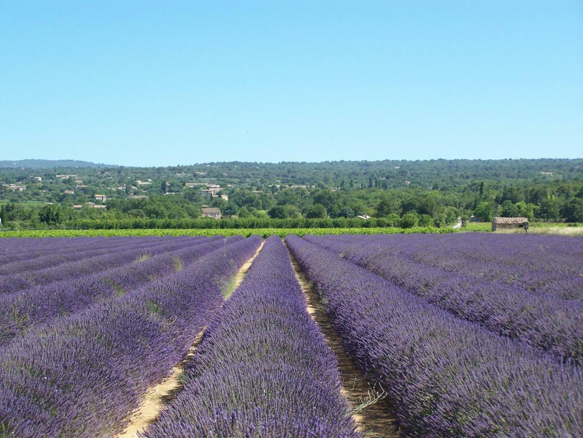 Le Verger Acomodação com café da manhã Gordes Exterior foto